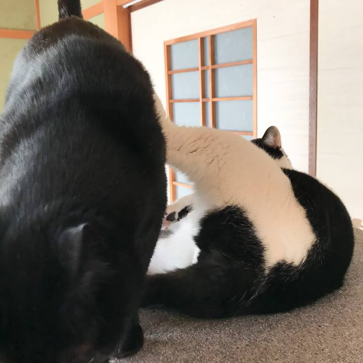 A2752d4b 3e3e 4237 b7a1 51e6906ba7df 1519868538094