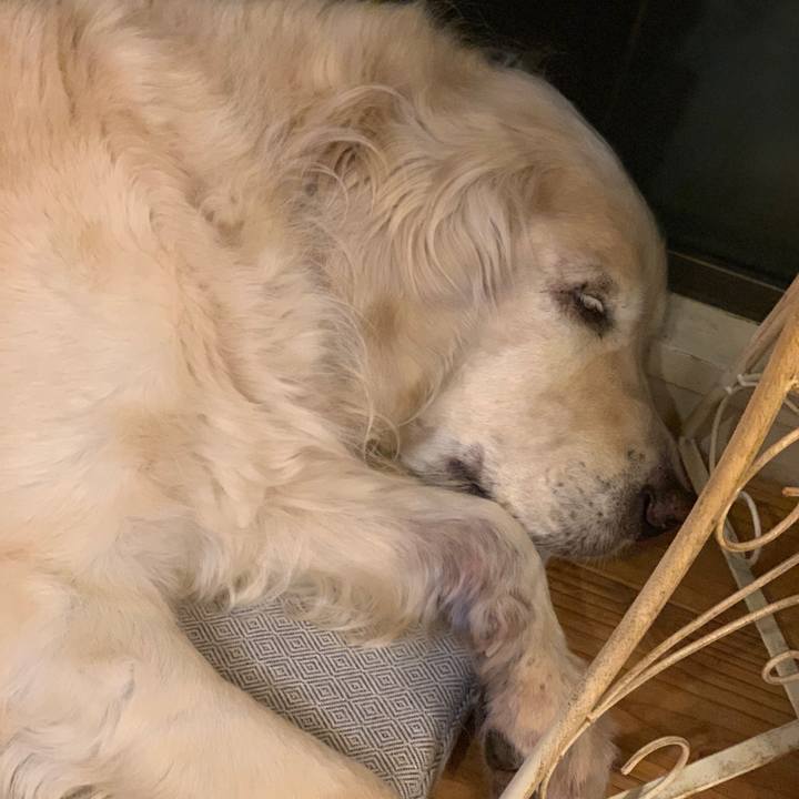 A2755a16 6eef 4176 a3eb 93c0aeac4d6d 1556109588121