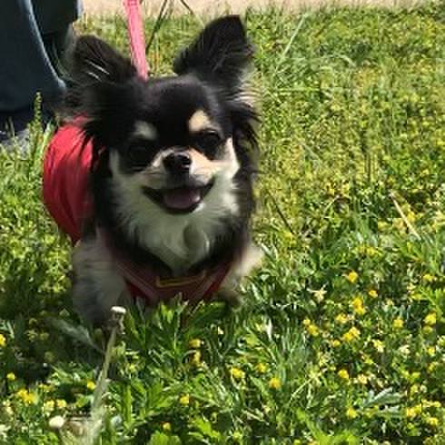 A275937c eff2 487d ac5d ad8d576ceb93 1588643651803