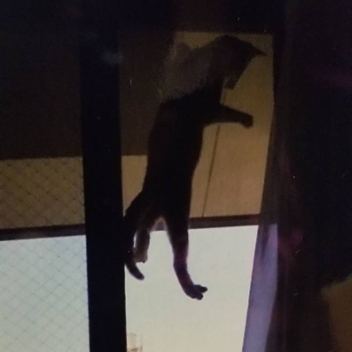 A2759b19 aec5 4259 bb7b 59f364c00088 1540473590809