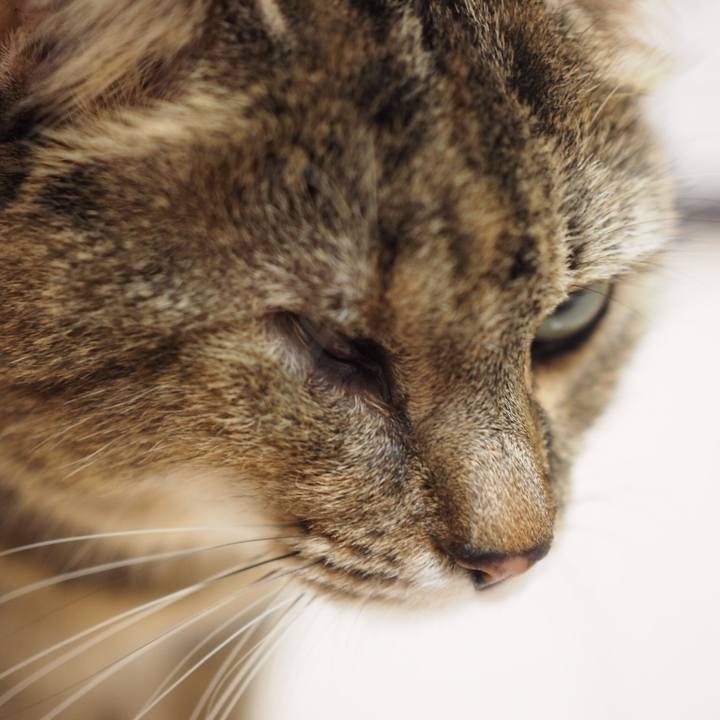 A275c24b 7590 4d32 b63c 238ac652fdee 1539946019082