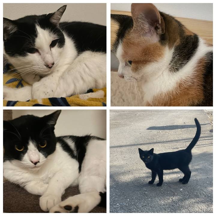 A275c985 9f5a 4a13 9a87 38557f3be337 1699894464442