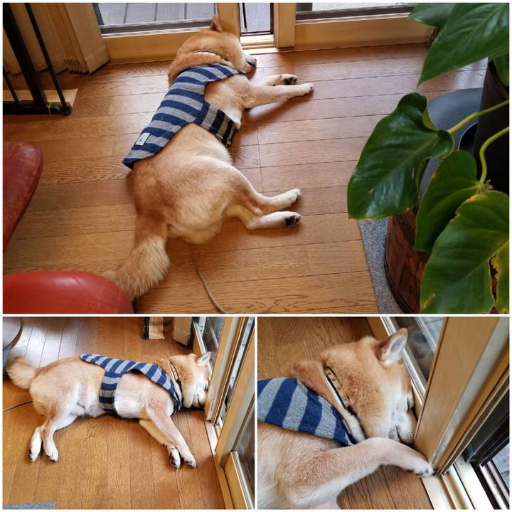 A275e26e ab55 48c9 b52a f264a6b4744b 1610750548496