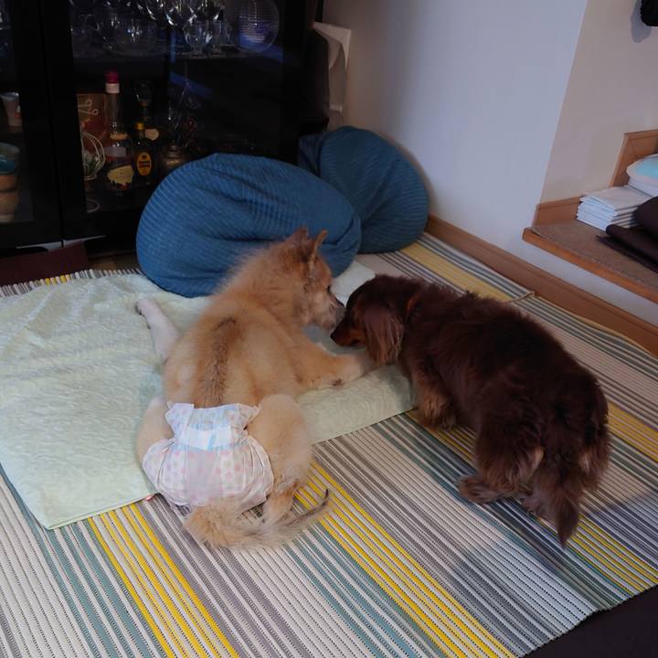 A2761ad5 4bff 4a4e 9c0b 27db285a7988 1651968627384