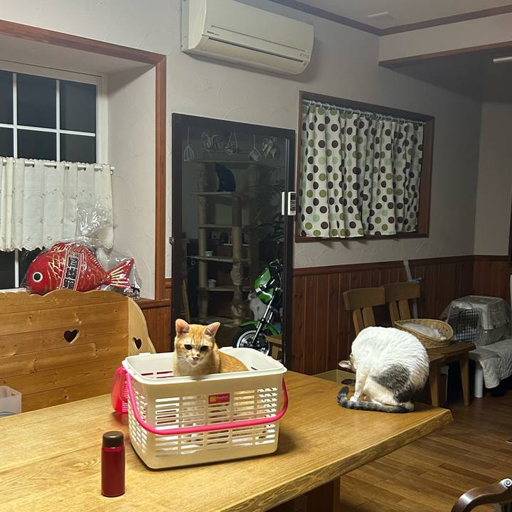 A2762481 8256 4022 9ce9 56cb12185a40 1693577157545