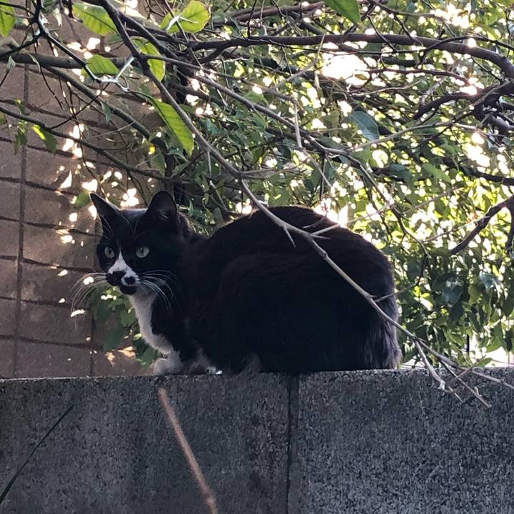 A27644f0 4036 4945 9476 330856144606 1547196334135