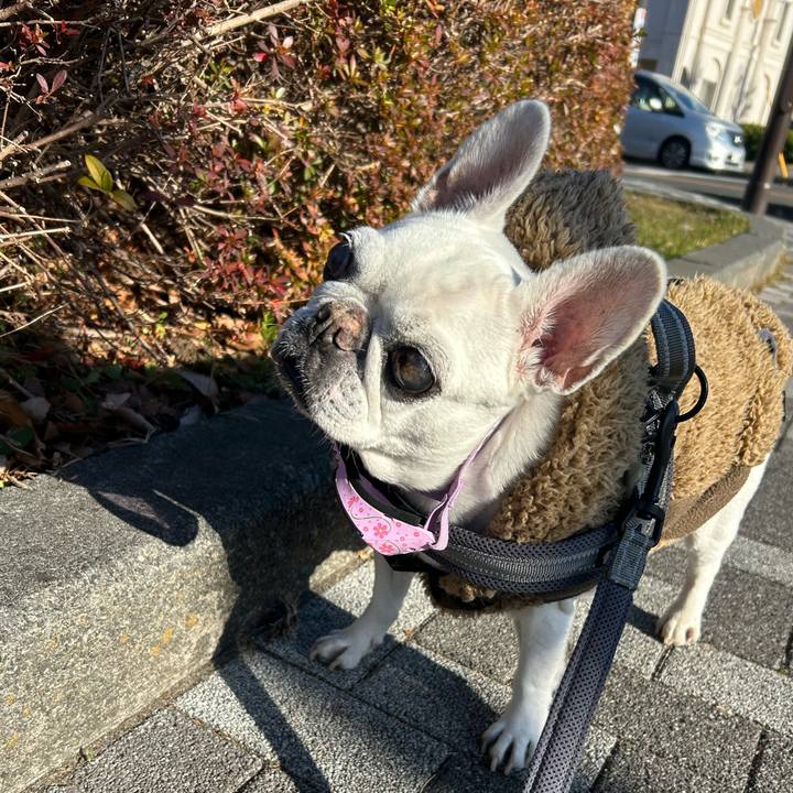 A2764b6b c38f 42ce 983f b32171be6253 1768040678747