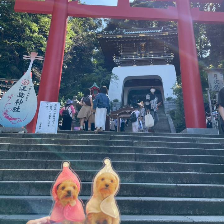 A27661ae d2ab 422b becd 75cb560efb5e 1776241357870