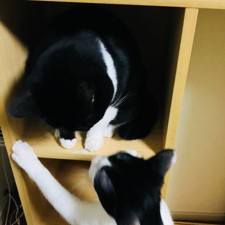 A276ab1b 7409 42f1 ae13 0ddb38cef1ab 1514208087697