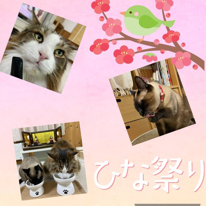 A276d025 d188 49bc 9e7d 0c20eabfd44f 1772567132720