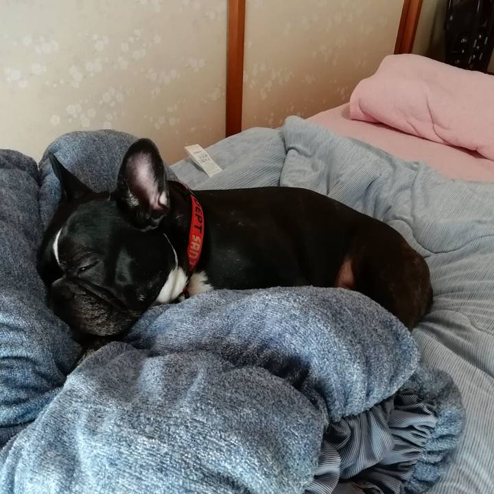 A2770498 7825 499a b63f 9c03a1863d62 1565076505315