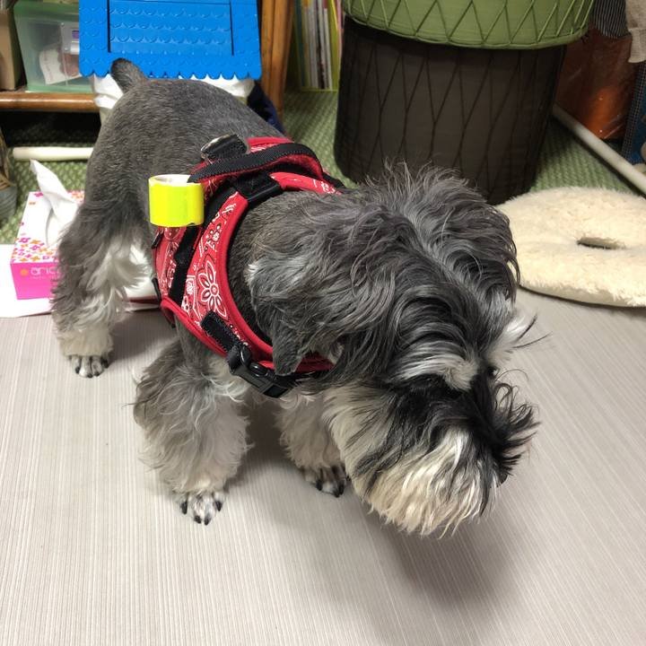 A27716cb 40b3 47f4 a2f2 31fcf980b00e 1578889940419