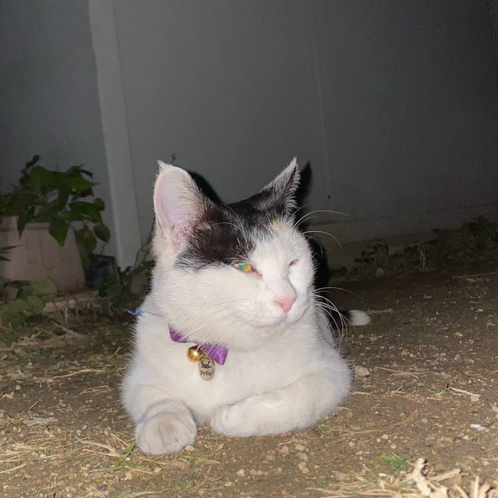 A2772eb7 774a 4f05 805f 3dc57558a7e0 1637062977191