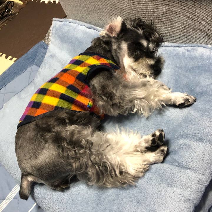 A27739c9 4a7a 45e0 8050 d0df7fc94d44 1696945442464