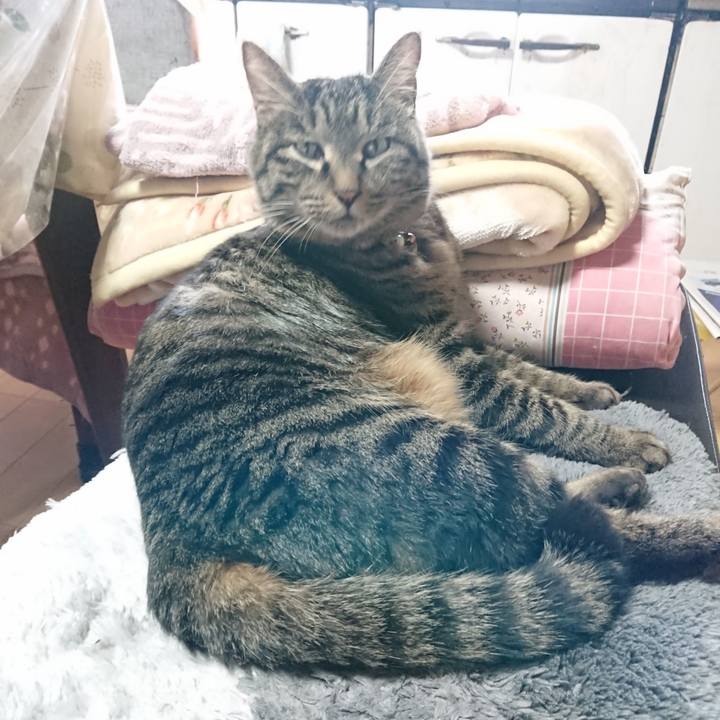 A277458a 7888 44fb ba77 31b88cb2bb38 1644211083523