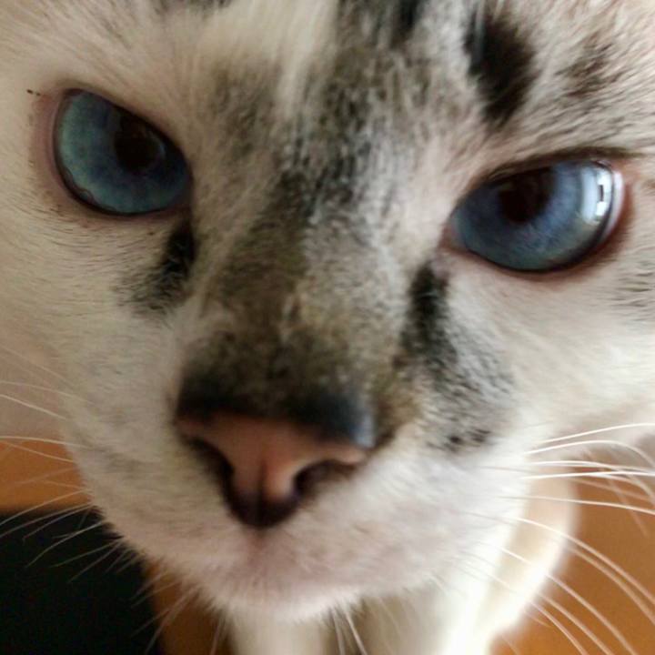 A27775d3 f84e 492b 9c87 cb6816938485 1526703393736