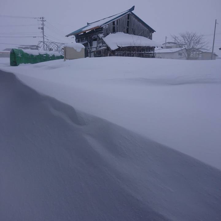 A27779da f8bc 48e9 8274 a5fcdf0ad955 1640994321991