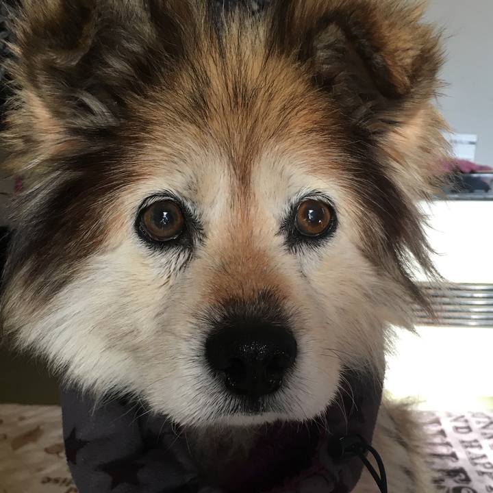 A27790cb 07bc 405d 9bb8 bb2358db94ff 1607474557070