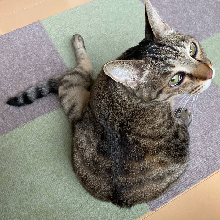 A277cf05 ac75 4044 bc19 d2b5e3e1e271 1712370097093