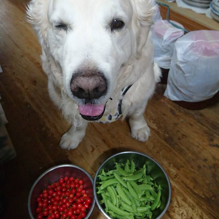 A27822ee 0821 47ae 9b4b b7aef70f160a 1524909641775