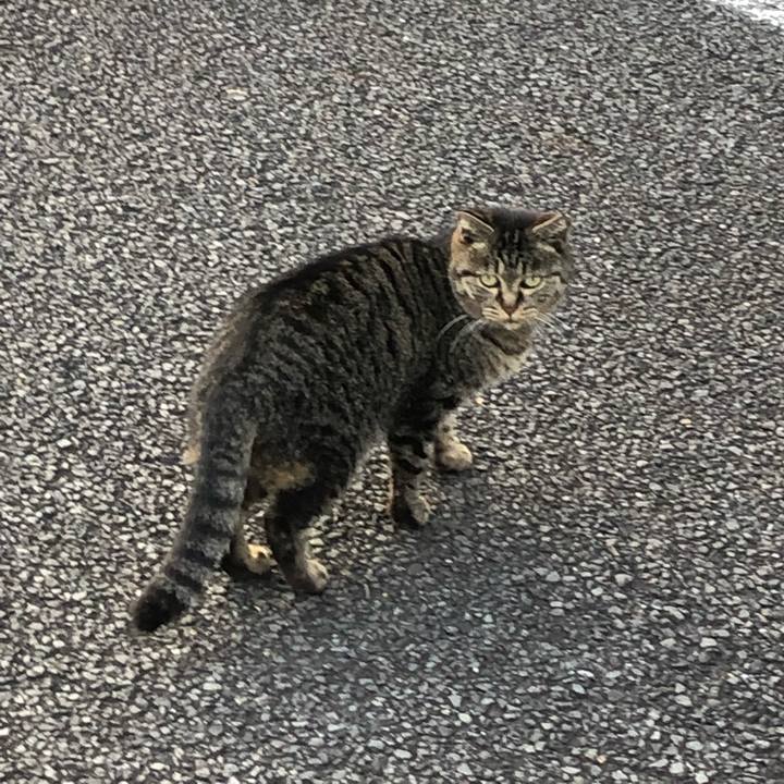 A2782c8e 6ae2 492a 8272 2f9c920c49be 1543421372182