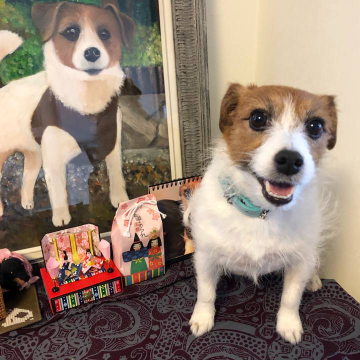 A2783213 4dcb 4928 b54a 2c4e121afefe 1551741686780