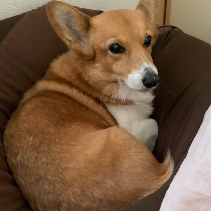 A2788643 4d5a 4dfa 9672 2d0430de9329 1710936080442