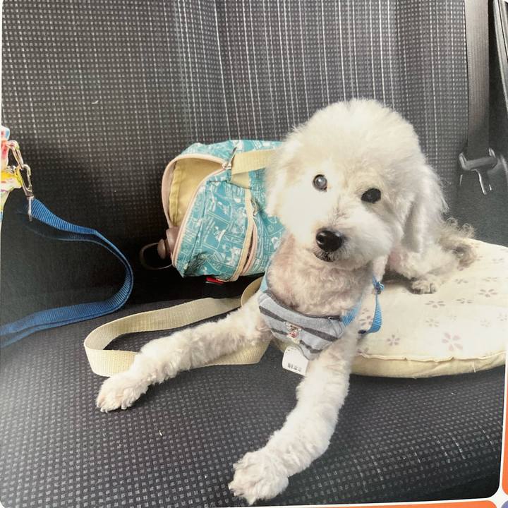 A2789bd3 af60 4956 ac5d bd48ae0cc471 1720432013627