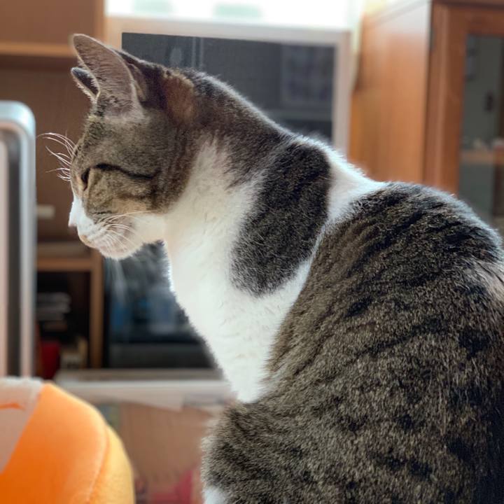 A278a858 5c8a 4b17 ae43 cb13238ee8f8 1548638417142