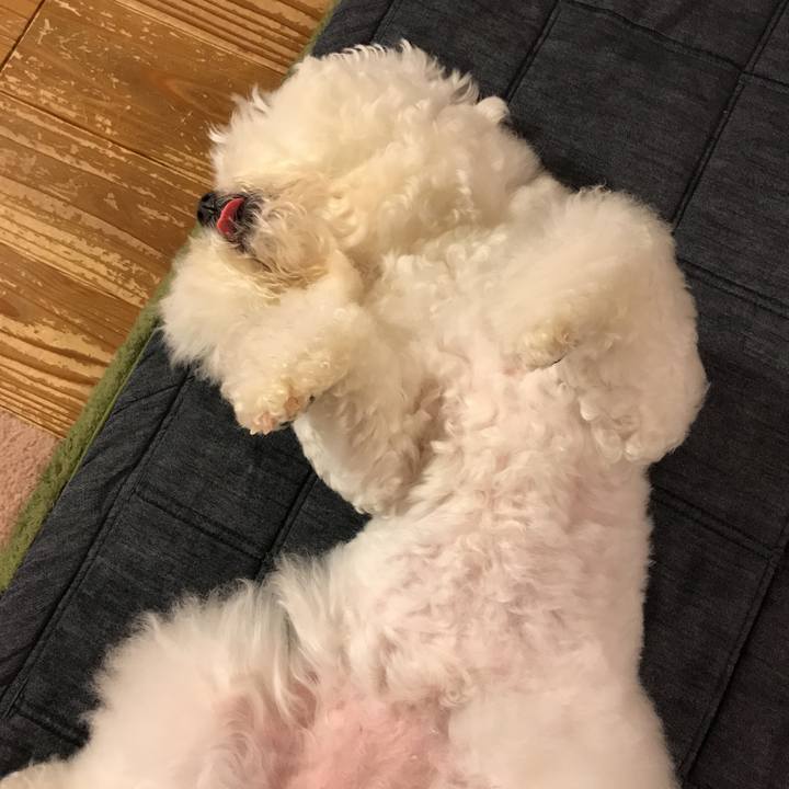 A278aa16 79c9 4eec b16d c86f9f11d696 1532785494704