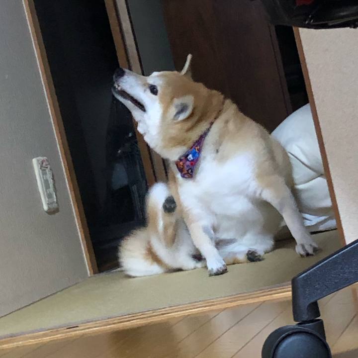 A2791306 1479 4f8f 98d9 ff370245f7ca 1572173882778