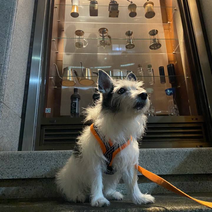 A27918c6 65bb 4037 9e85 e9dcccd7bd50 1621382365760