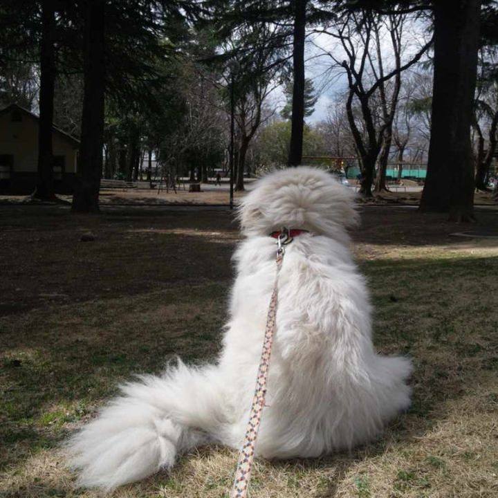 A2791bce a3a8 4b11 9417 fd95e4eb6a0b 1678664625981