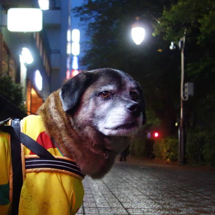 A2795d0c 0540 4f63 b46f 301f911c7bc6 1523961547279