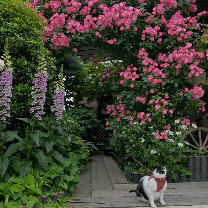 A2796424 c8ef 4acd 945b 443723eca0c5 1748579079523