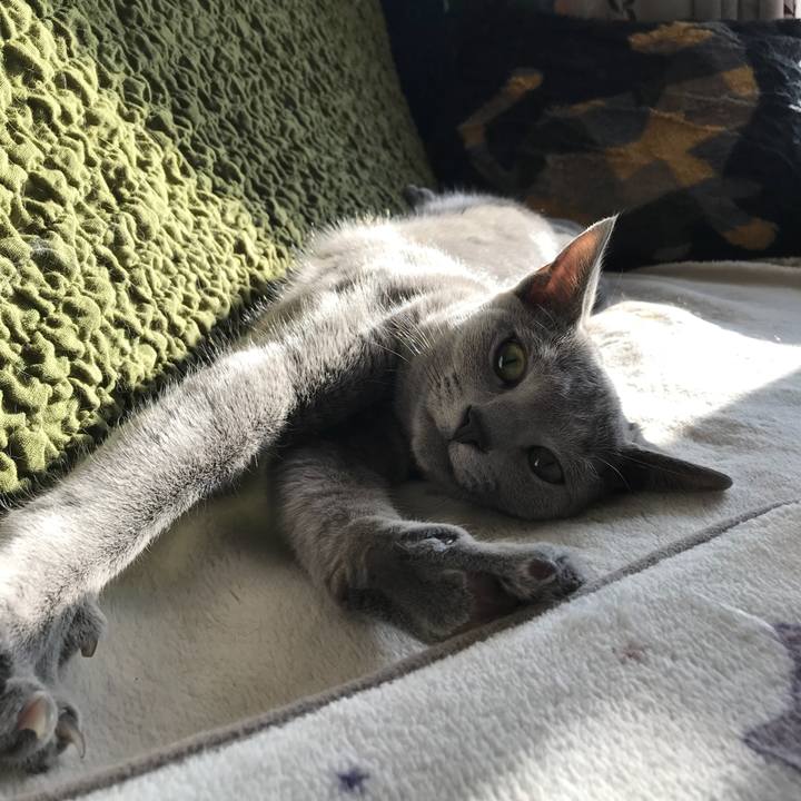 A279690a f66c 4bcd 9a77 bc2630903d5a 1516800635775