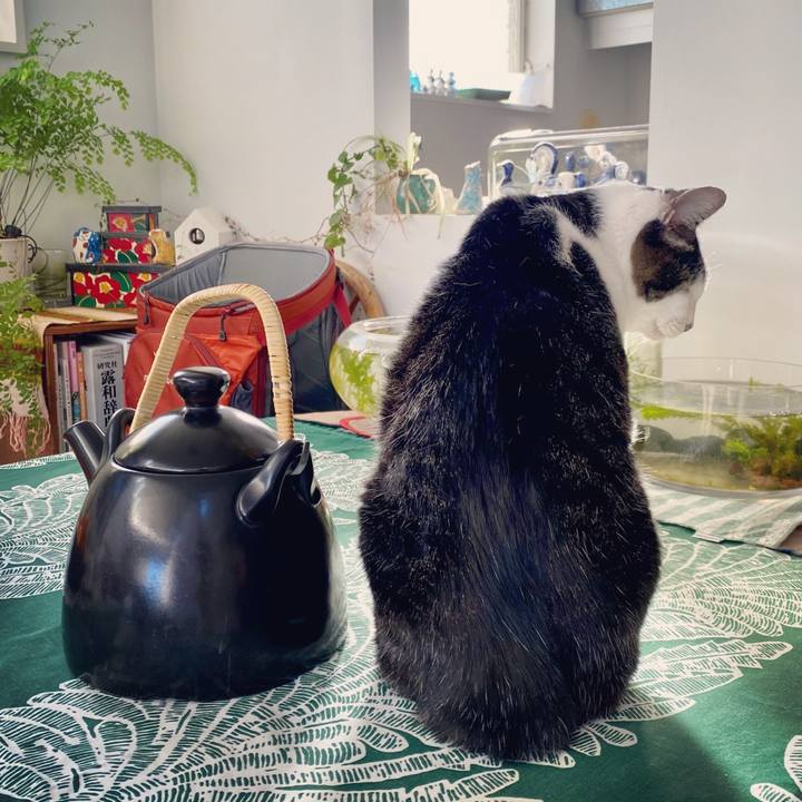 A279779f 19b3 460e 8552 6e395997bb3a 1606628927770