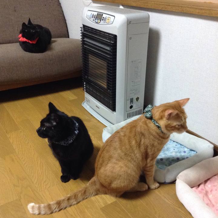 A279a27d 1cd2 406c a0fa 1e4cc2652fd2 1564208852720