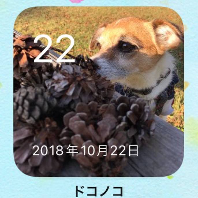 A279a63a c475 42b2 8d8f cac77603aaac 1634884231236