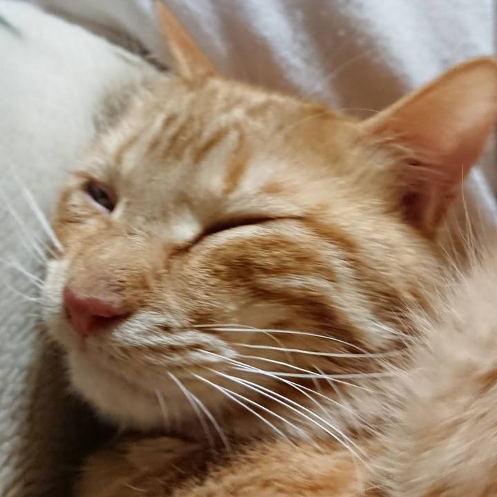 A27a312d 98c0 4a03 b27e e3b45f0657bd 1642682569959