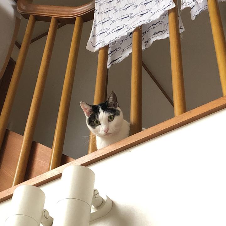 A27a4d50 999a 4ceb 8705 c8eb4a2b11b9 1629416565286