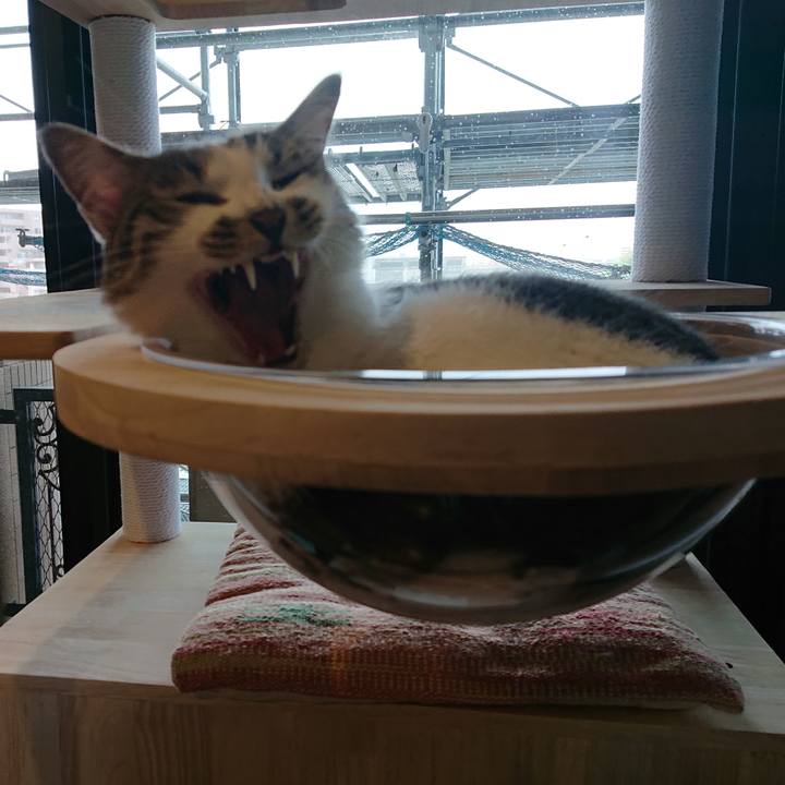 A27a7684 57f0 4125 b947 f72587ddfa73 1658101016914