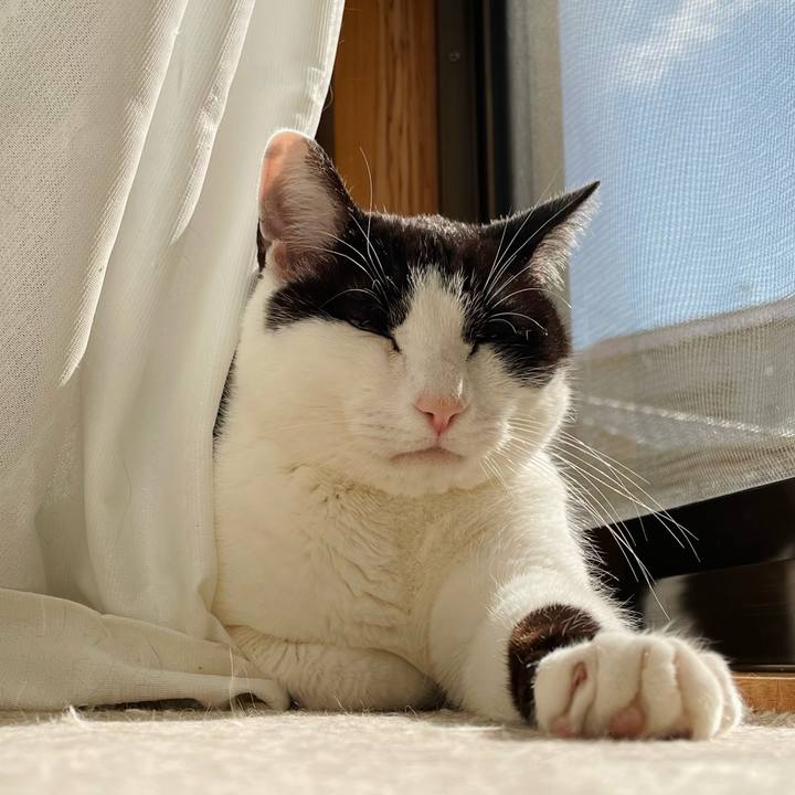 A27a8e18 f39a 4e1b 892e b24866bb2224 1647309930227