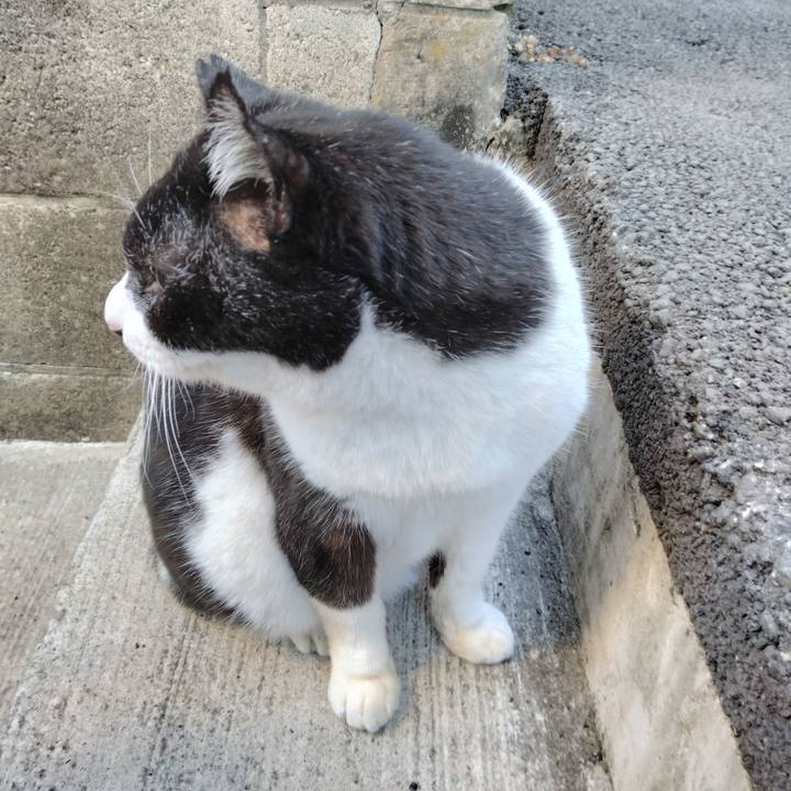 A27aa486 3784 4b36 85cb 70689676a4f0 1702769509910