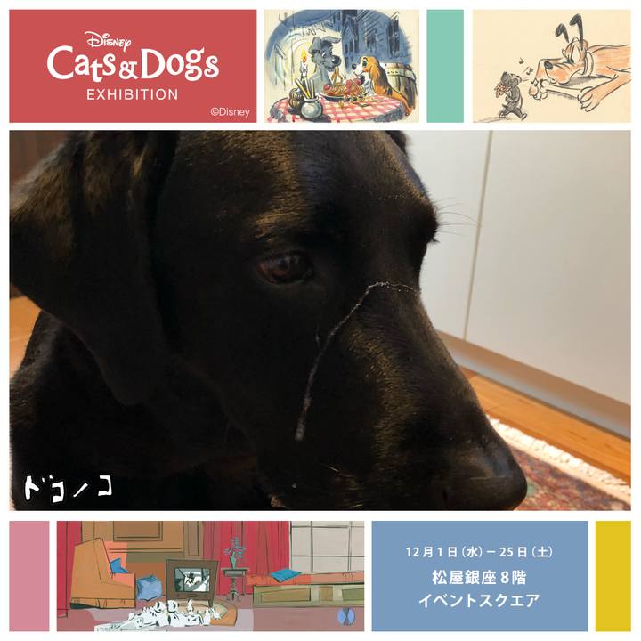 A27abc3f 7714 4049 bcba 5eb579e26ffa 1639269102520