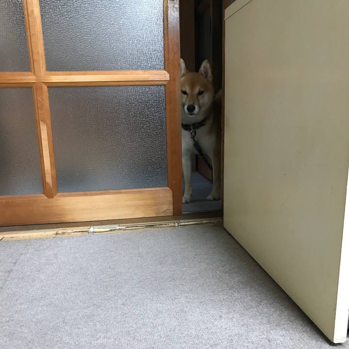 A27abd15 f6e7 4380 92c6 0553f088401e 1511433965994