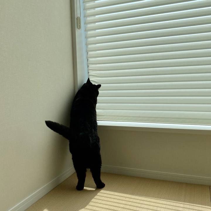 A27adabd e788 4c65 ab31 86689c06bdc9 1600052183863