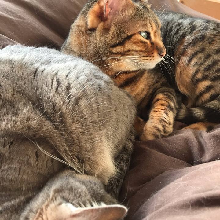 A27b2fb4 c7a8 4e8c b7db c12183a25c65 1550818180072