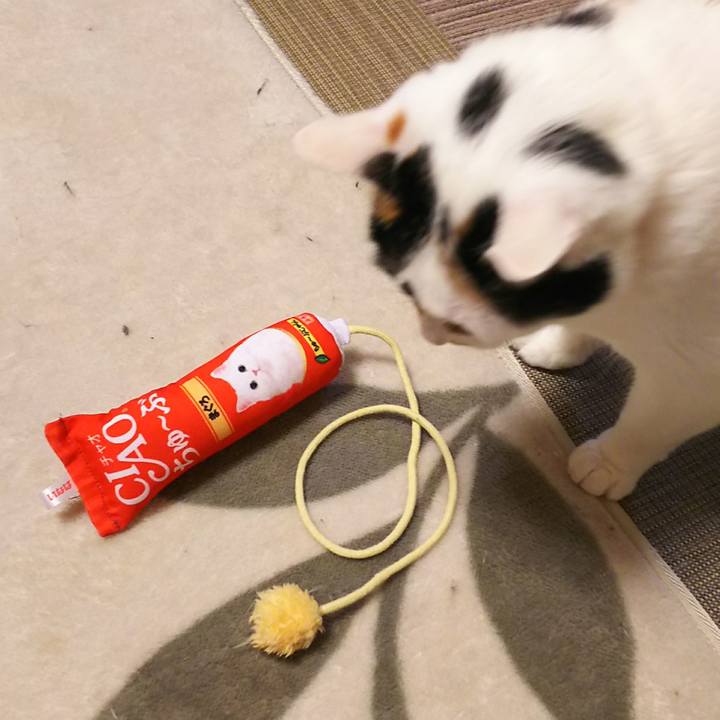 A27b3f1c 9e22 490c b686 458a9090bb3e 1543405987799