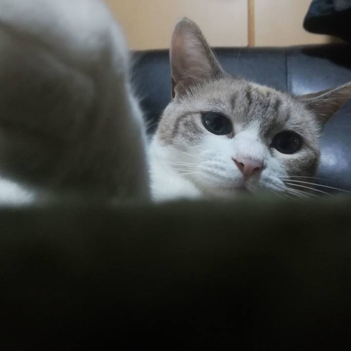 A27b6258 25f6 4a54 b77e 45f2d0641606 1536305877773